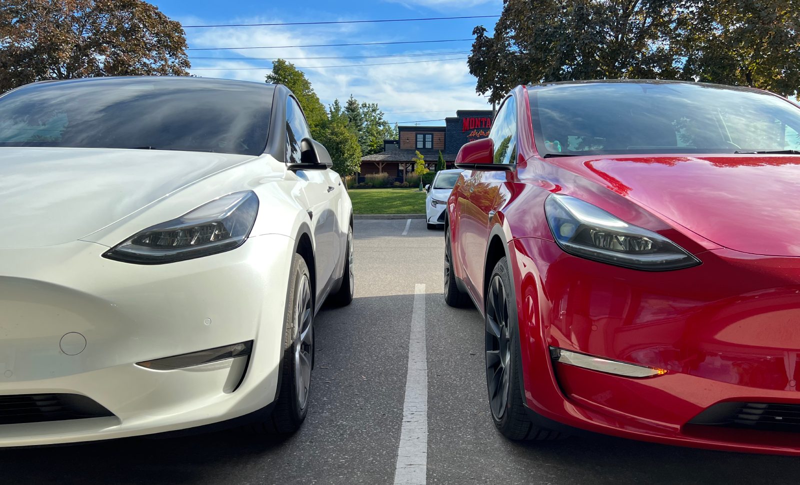 How to tell if your Tesla has Matrix headlights