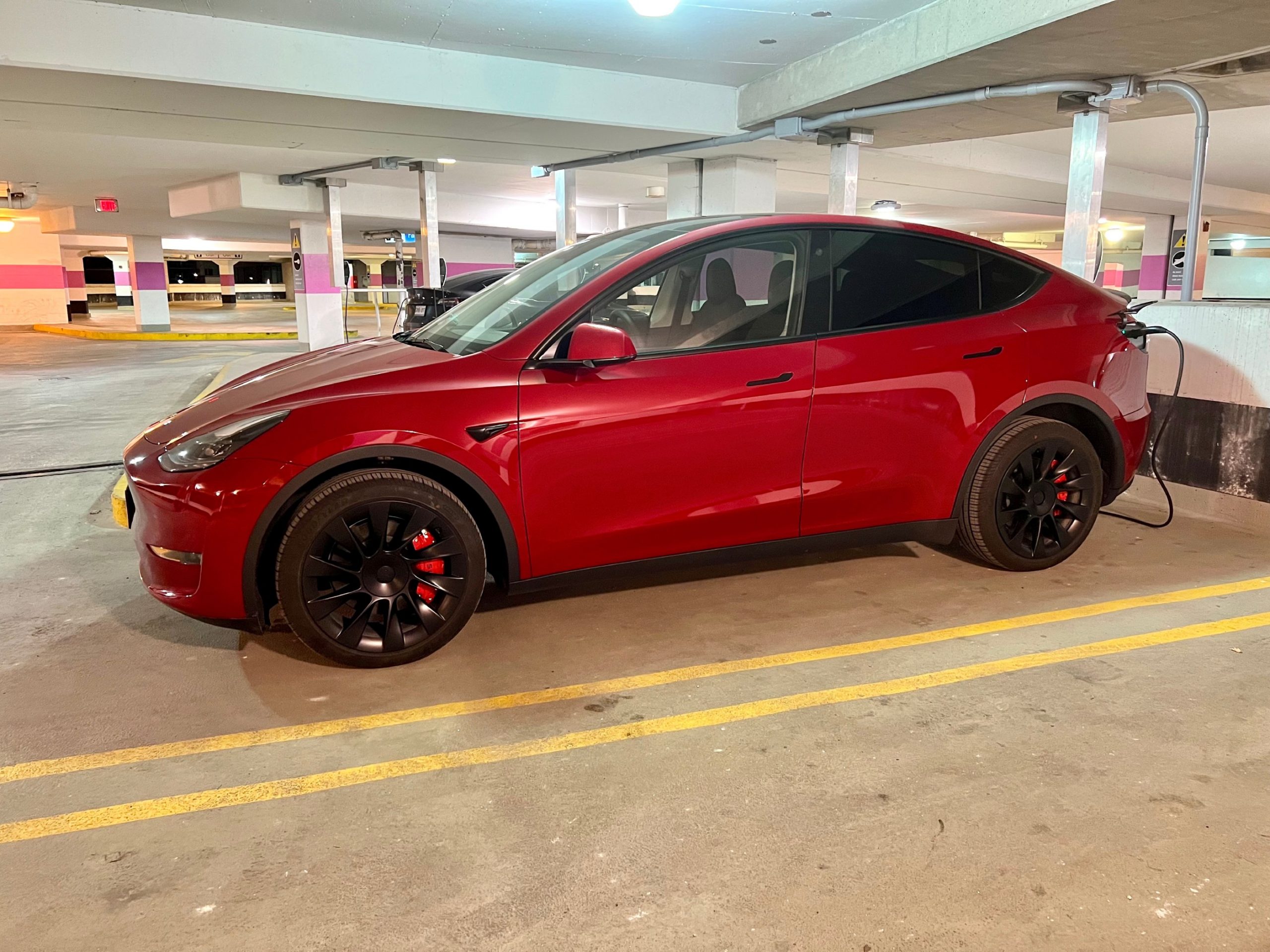 Our red model Y with red brake calibers 