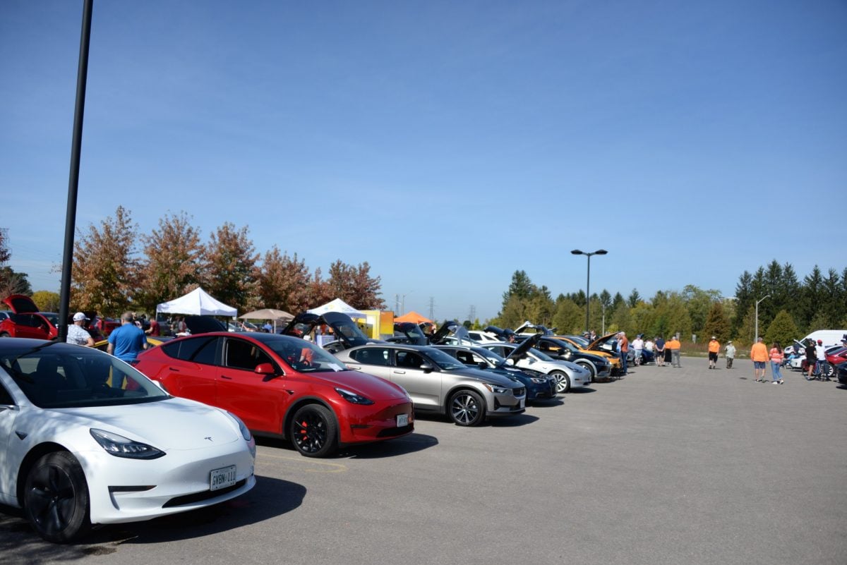 Tesla Model 3 and Model Y