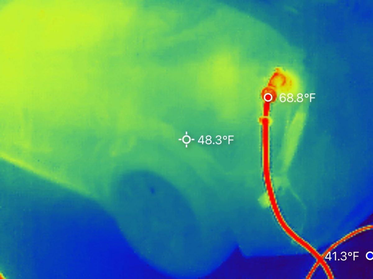 thermal image of cord 