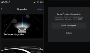 Can Tesla Premium Connectivity
